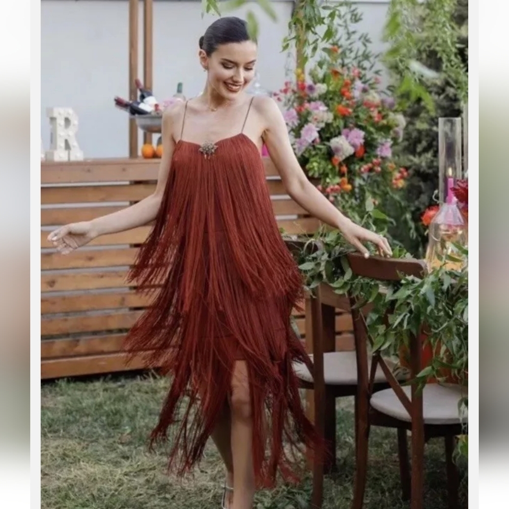 Zara Elegant Fringe Dress in Rust